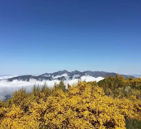 Charming 101 * Funchal (Madeira)