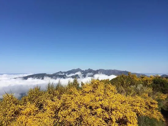 Charming 101 * Funchal (Madeira)